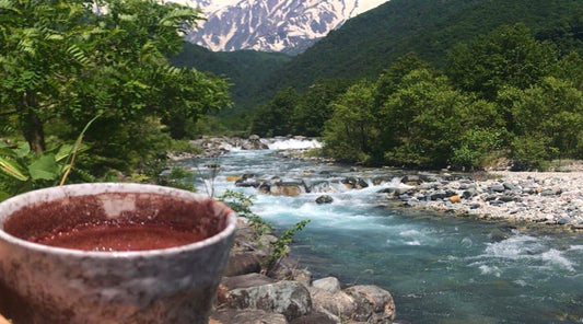 Tune Into Nature with Ceremonial Cacao