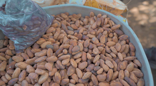 Background on Cacao