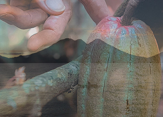 Ceremonial Cacao and the Art of Conscious Dreaming