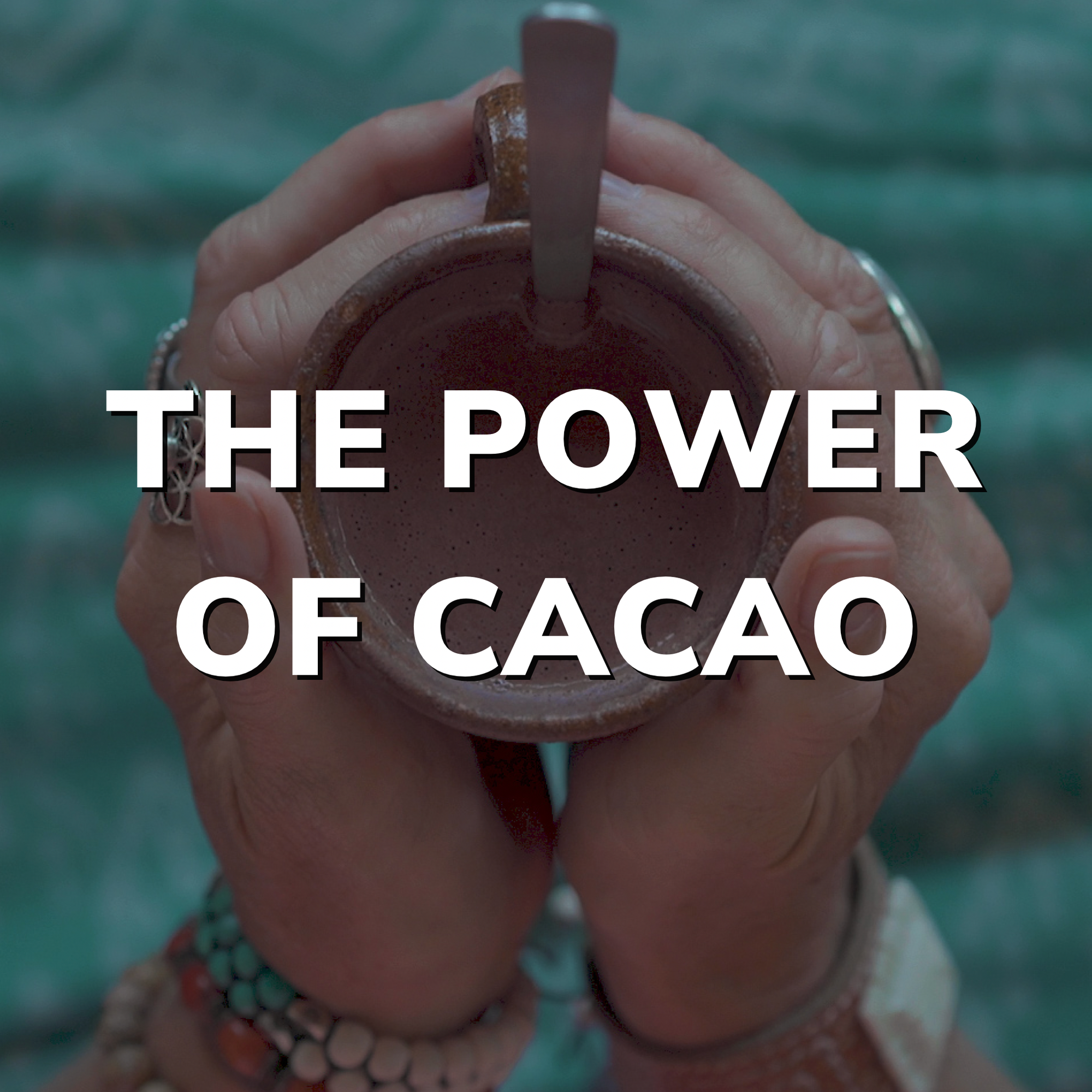 Training Course: The Power of Cacao; Practitioner Certificate Course