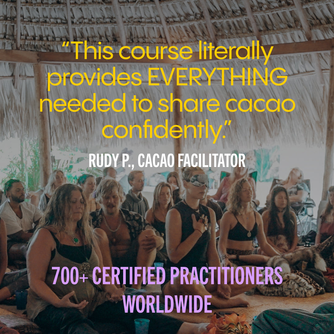 Training Course: The Power of Cacao
