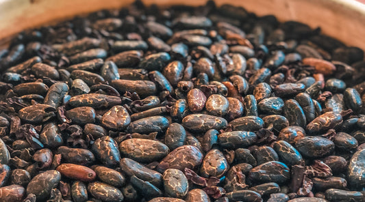 Labor of Love: a Chronicle of a Cacao Delivery