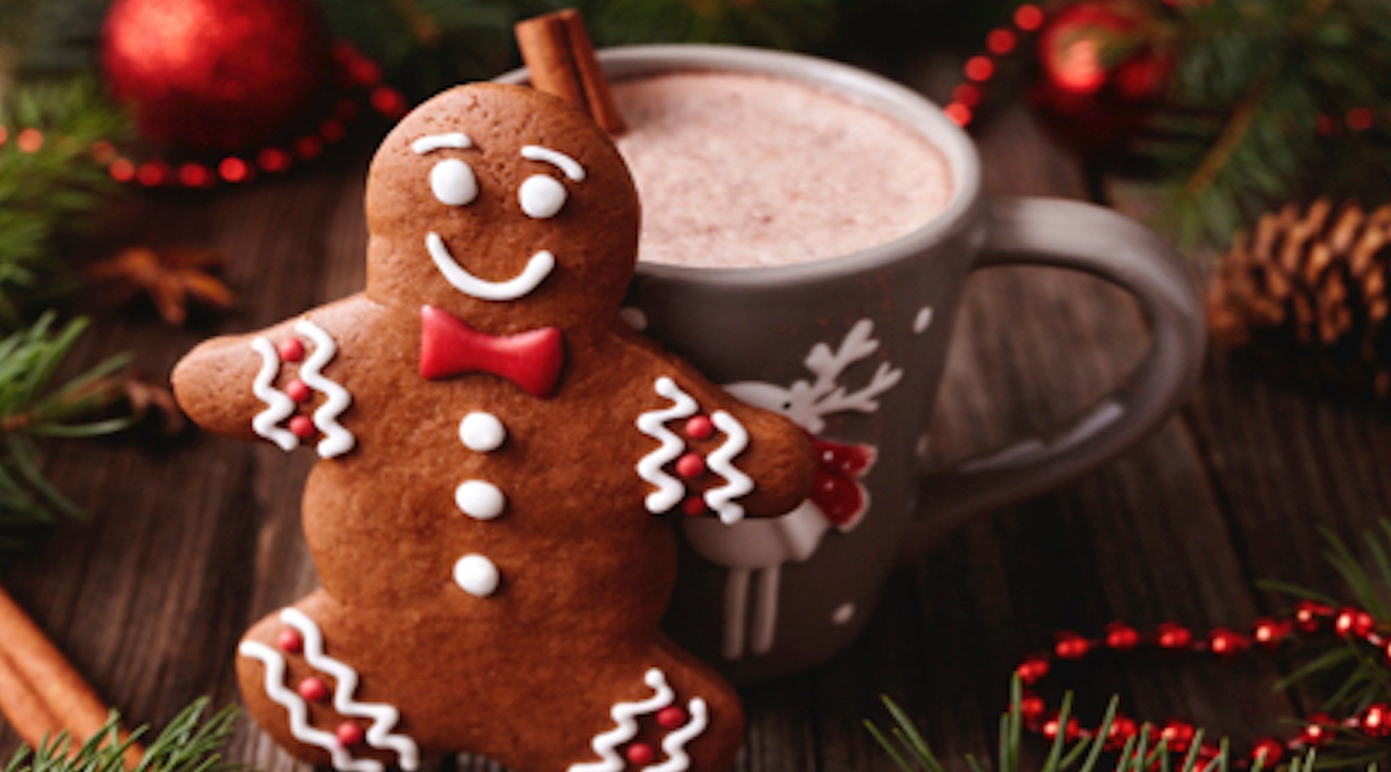 Gingerbread Cookie Cacao Drink