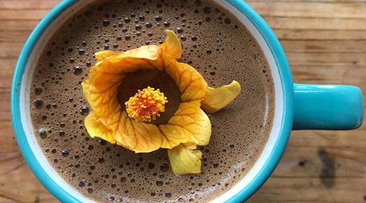 Cacao & its Place Among Plant Medicines, Entheogens, & Psychedelics