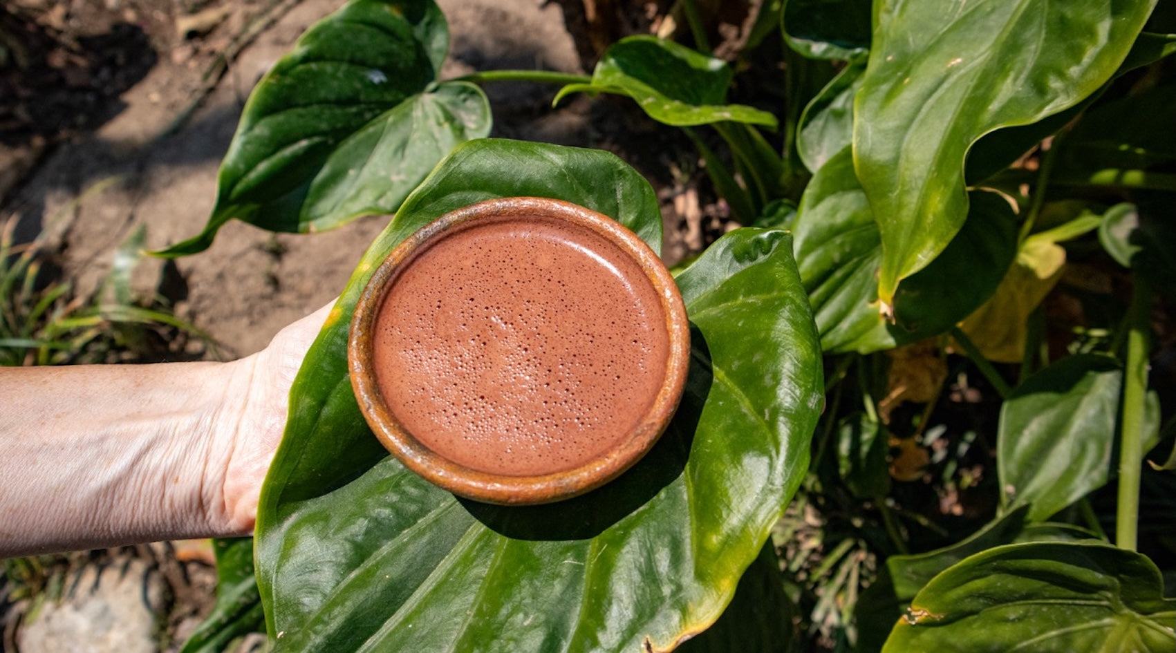 The Flavanol Power of Keith’s Cacao: One Cup, Countless Benefits
