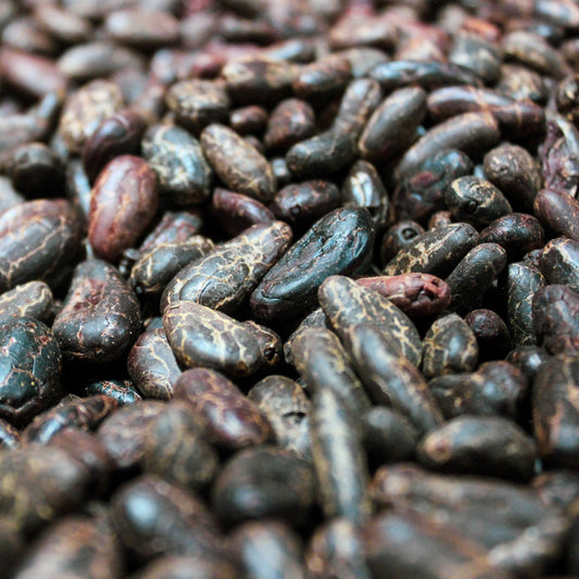 Hand-Peeled Cacao Beans