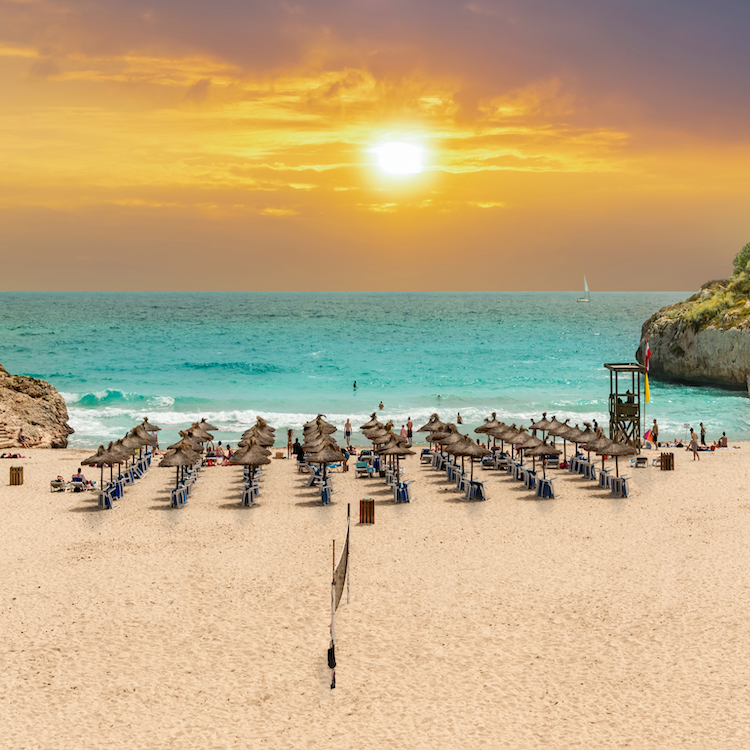 Mallorca Cacao Retreat