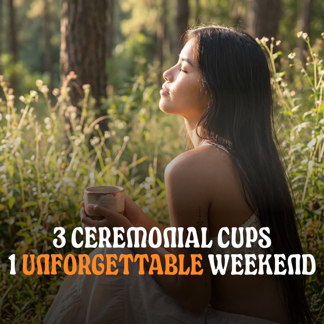Into The Woods: A Cacao Lover's Gathering