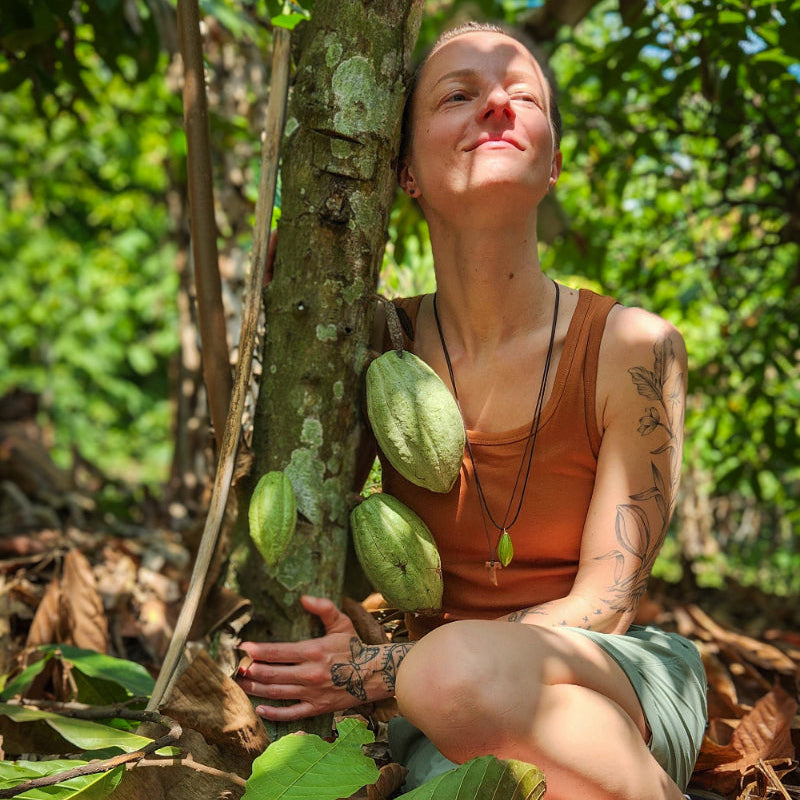 PLANT A CACAO TREE