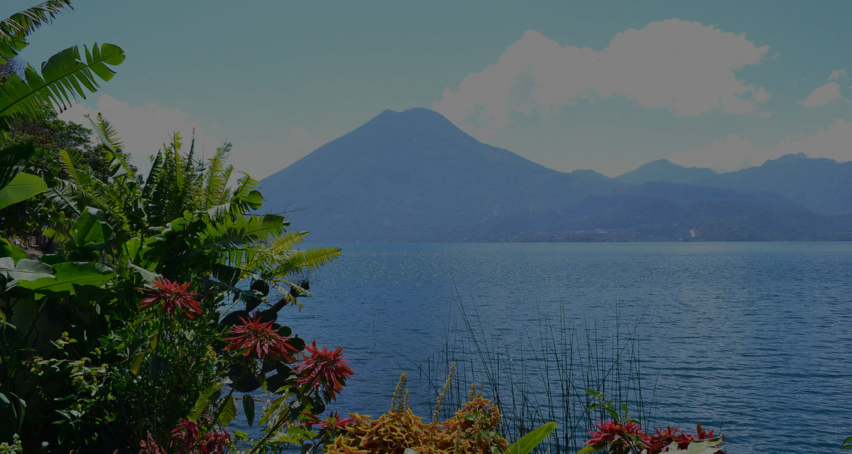 A scenic landscape photograph featuring Mount Fuego rising behind a calm blue Lake Atitlán, Guatemala, framed by lush green tropical foliage and red flowers in the foreground.