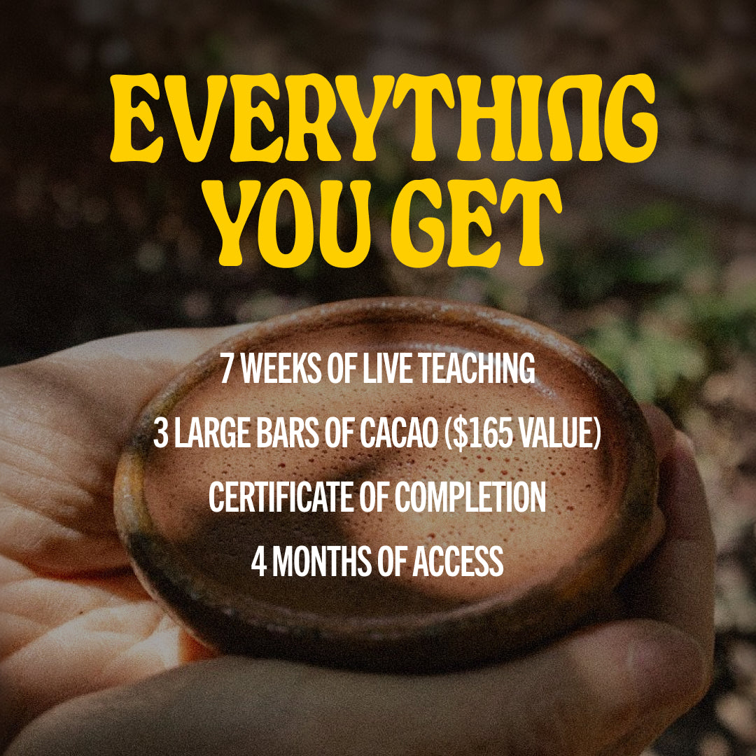 Training Course: The Power of Cacao