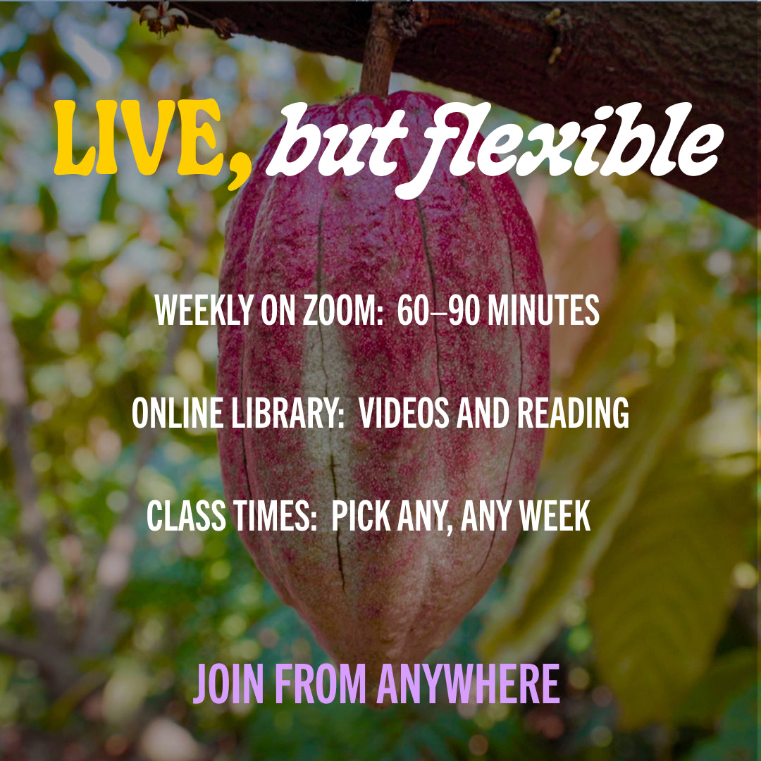 Training Course: The Power of Cacao