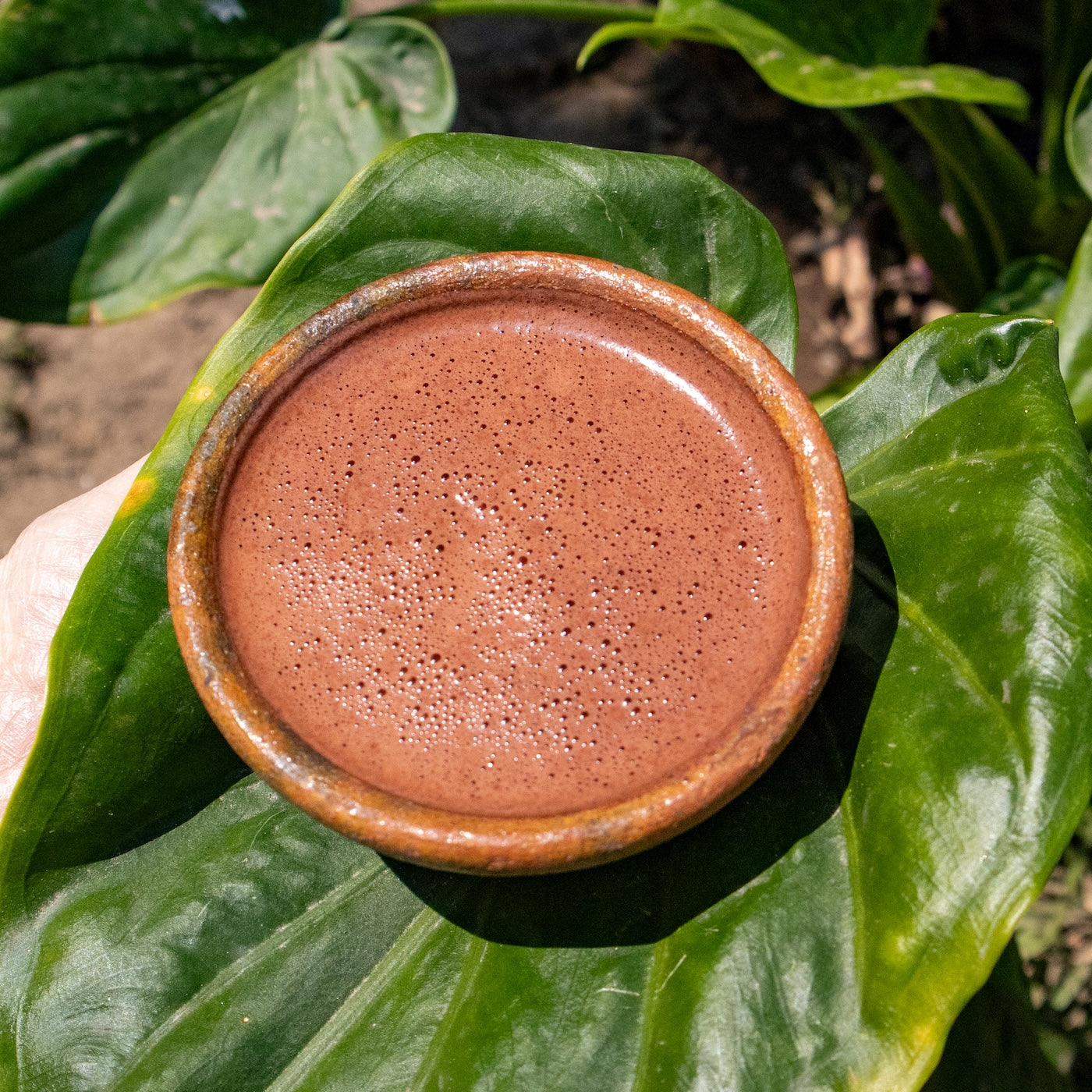 Ceremonial Cacao